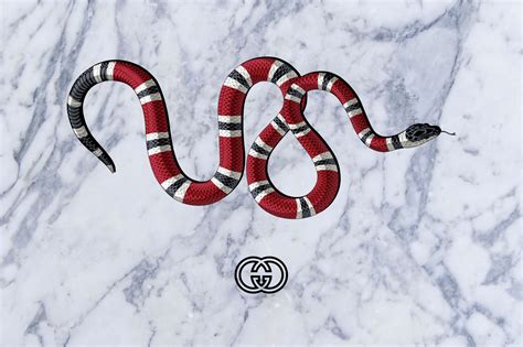 only snakes i fuck with is gucci|Gucci Snakes .